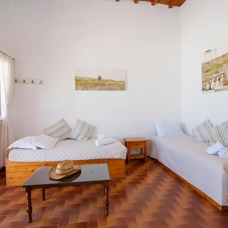 Hibiscus Rosa Location Vakantiehuis Mykonos Town