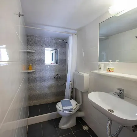 Hibiscus Rosa Location