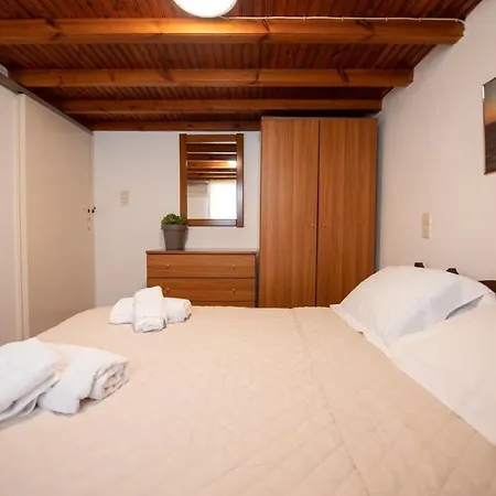 Hibiscus Rosa Location