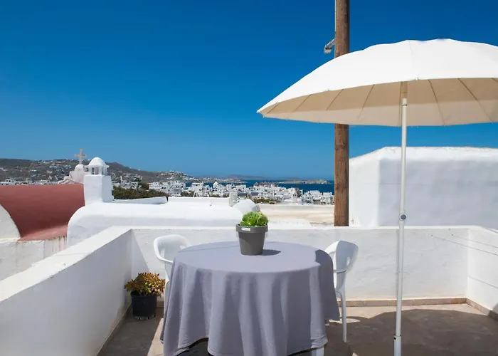 Hibiscus Rosa Location *