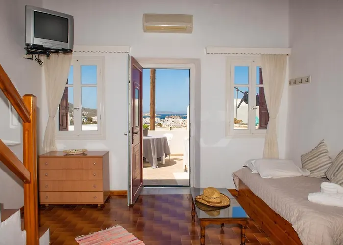 Hibiscus Rosa Location *