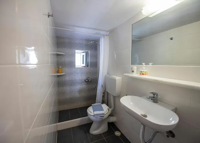 Hibiscus Rosa Location