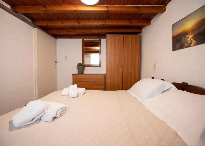 Hibiscus Rosa Location